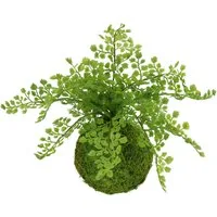 Kunstpflanze Farnbusch auf Mooskugel, I.GE.A., Höhe 30 cm, Künstliche Pflanze Waldfarn