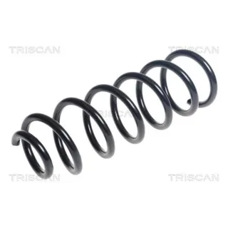 Triscan Feder vorne Mercedes C-Klasse W205 875023201