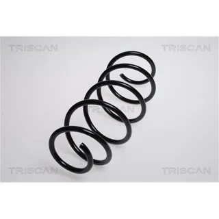 Triscan Feder vorne Mercedes A-Klasse W169 875023103