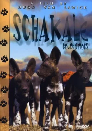 Schakale - Golden Dogs