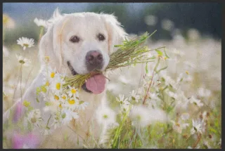 Fussmatte Hund 4532 | Größe: 60 cm x 45 cm