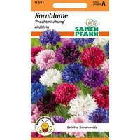 SAMEN PFANN Blumensamen Kornblume, gefüllte Mischung - Saatgut Samen, Centaurea cyanus