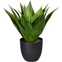 Künstliche Zimmerpflanze Agave Agave, Creativ green, Höhe 36 cm