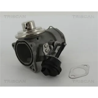 Triscan AGR-Ventil Seat Altea Toledo Skoda Octavia VW Caddy 1,9