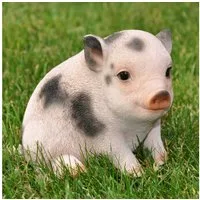 dazikemo Gartenfigur Dekofigur Gartenfigur Schwein / Ferkel