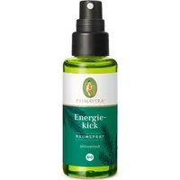 Primavera Life GmbH Raumduft Energiekick Raumspray bio, 50 ml