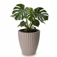matches21 HOME & HOBBY Blumentopf Großer Outdoor Blumentopf ZENTO taupe in 29 x 32 cm (1 St), Runder innen, außen Pflanztopf als wetterfester Pflanzen-Topf
