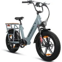 Vankel E-Bike Cityrad Cargo Damen u. Herren 20"x4" 960Wh 48V, max.100km Hydraulikbremsen, Kettenschaltung, Heckmotor, 960 Wh, (Beleuchtungsset mit Batterieladegerät, Batterieschlüssel, Werkzeug), Lasten-Elektrofahrrad mit Fat-Reifen, großem Transport