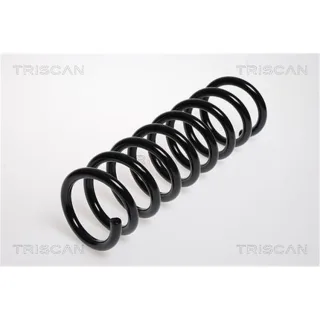 Triscan Feder vorne Mercedes Slk 87502361