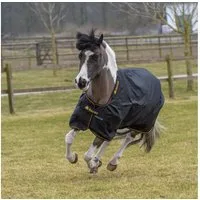 Bucas Pferde-Regendecke Bucas Irish Turnout Light 50g Classic 1200D - Pony - black/gold