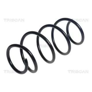 Triscan Feder vorne Hyundai I20 875043143