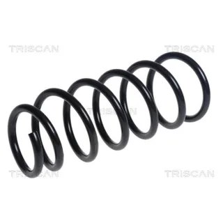 Triscan Feder hinten Citroen C-Zero Mitsubishi I Peugeot Ion