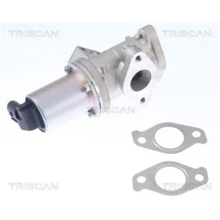 Triscan AGR-Ventil Hyundai H-1 Kia Sorento 2,5 881343024