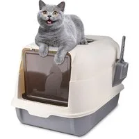 JEOBEST Katzentoilette Katzenklo mit Schaufel, Toilet, Offene Toilette - Grau Bodenschale, Hoher Abnehmbarer Rand, Für große Katzen, Kätzchen 36 x 51 x 34cm