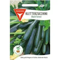 FRANKONIA Gemüsesamen Kletterzucchini, Black Forest F1 - Saatgut Zucchini-Samen Samen, Cucurbita pepo