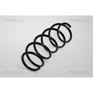 Triscan Feder vorne Opel Astra H 1,6