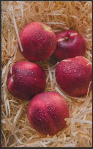 Fussmatte Apfel 7577 | Größe: 60 cm x 90 cm