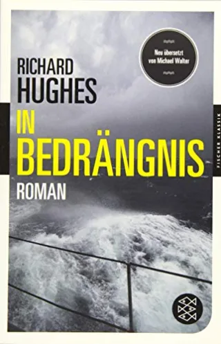 In Bedrängnis: Roman (Fischer Klassik)