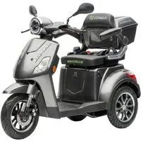 ECONELO Elektromobil Seniorenmobil P1000, Lithium-Akku, 25 km/h, 1000 Watt, 1000 W, 25 km/h