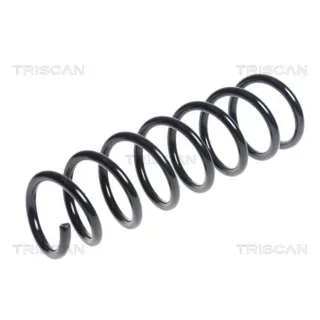 Triscan Feder vorne BMW 5er F10 875011149