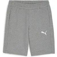 PUMA Trainingsshorts Puma Herren Short teamGOAL Casuals Shorts 658608