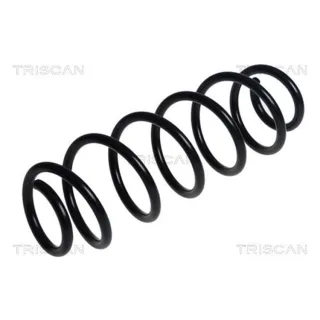 Triscan Feder hinten Ford Fiesta 7