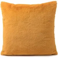 Uni