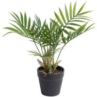Künstliche Zimmerpflanze Chamaedorea Palme Palme, Botanic-Haus, Höhe 28 cm
