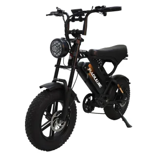 [EU Direct] BAOLUJIE F2 Electric Bike, 48V 13AH Battery, 48V 500W Motor, Peak Power 1000W, Recommended Top Speed 25KM/H,