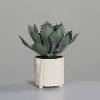 28 cm