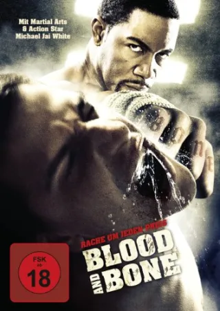 Blood and Bone [DVD] [2010]