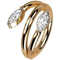 Taffstyle Nasenpiercing Septum Piercing Ring Segmentring Clicker Kristall Doppel Reben, Nasenpiercing Nasenring Ohrpiercing Ohr Nase Tragus Helix Brust Intim