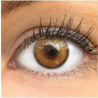 GLAMLENS Monatslinsen Monatslinsen natürliche Braune Kontaktlinsen "Bardolino Brown"