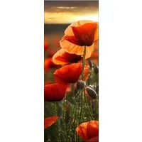 artissimo Glasbild Bild aus Glas 30x80 cm / Wandbild Hochformat / Wanddeko modern, Blumen und Blüten: Mohnfeld im Abendlicht in rot orange