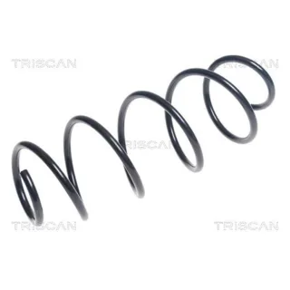 Triscan Feder vorne Citroen C3 875028271