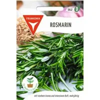 FRANKONIA Kräutersamen Rosmarin - Kräuter-Samen Gewürz Saatgut Samen, Rosmarinus officinais