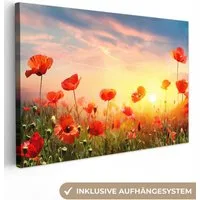 OneMillionCanvasses® Leinwandbild Mohnblumen - Frühling - Farben, Fotodruck (1 St), Leinwand Bilder Klein, Wand Dekoration Aesthetic 30x20 cm