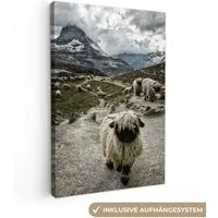 OneMillionCanvasses® Leinwandbild Schaf - Berg - Schnee, Fotodruck (1 St), Leinwand Canvas Wandbild, Wanddekoration 20x30 cm