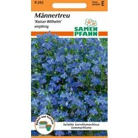 SAMEN PFANN Blumensamen Männertreu (Lobelia), Kaiser Wilhelm - Saatgut Samen, Lobelia Männertreu
