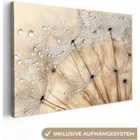 OneMillionCanvasses® Leinwandbild Löwenzahn - Abstrakt - Natur - Beige, Fotodruck (1 St), Leinwand Bilder Klein, Wand Dekoration Aesthetic 30x20 cm