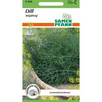 SAMEN PFANN Kräutersamen Dill - Dill-Samen Kräuter-Samen Gewürz Saatgut Samen, Anethum graveolens