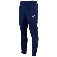 PUMA Sporthose PUMA teamRISE Poly Trainingshose Trainingshosen teamRISE