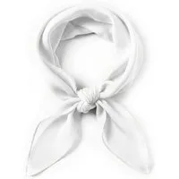 Zaewry Seidentuch Damen Nickituch Chiffon in einfarbig Uni - Leichtes zartes Halstuch, 65 x 65 cm