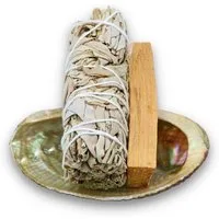 LAVISA Räucherkegel Weißer Salbei Premium, Abalone Muschel, Palo Santo, Salbei Räucher Smudge Abalone White Sage