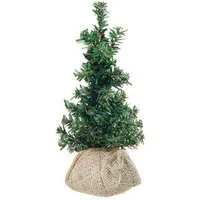 artplants Künstlicher Weihnachtsbaum Künstlicher Baum Tanne Aldon im Jutesack, 15cm