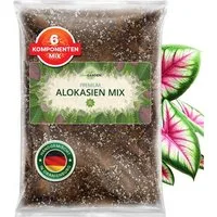 OraGarden Gartenbau-Substrat Alokasien Erde, mit Wurmhumus