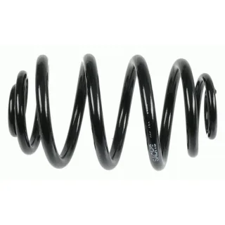 Sachs Feder hinten Renault Clio 2