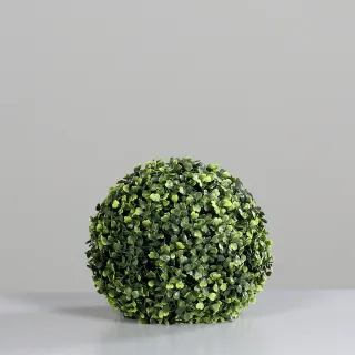 Buchskugel
