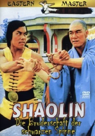 Shaolin - Die Bruderschaft der schwarzen Spinne