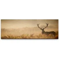 möbel-direkt.de Leinwandbild Bilder XXL Hirsch Wandbild auf Leinwand